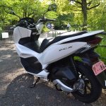 PCX125 JF81