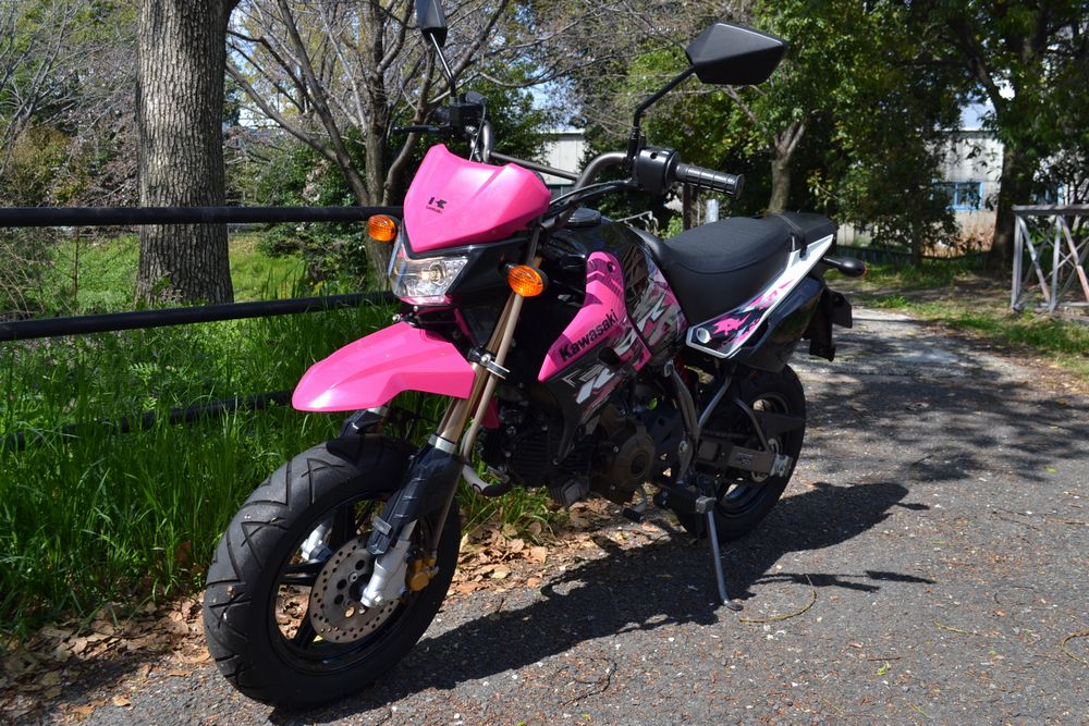 kawasaki KSR110 (カワサキ KSR110) KL110A (小型AT免許可) - 大阪 ...